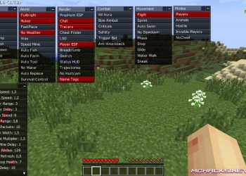 Xenon Hacked Client for Minecraft